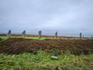PICTURES/Ring of Brodgar, Standing Stones of Stennes & Maeshowe Cairn/t_SSStone2.jpg